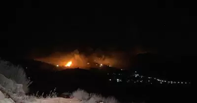Avanza combate contra el incendio forestal en Tanam�