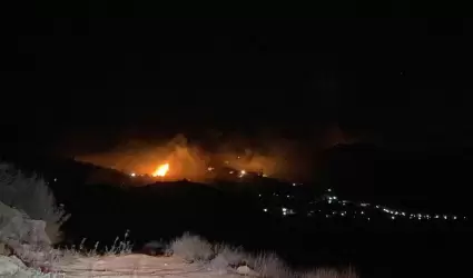 Avanza combate contra el incendio forestal en Tanam�
