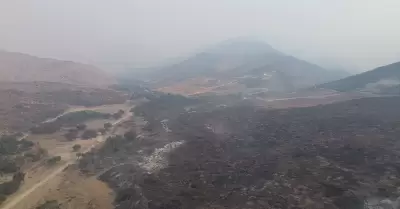 Incendio forestal
