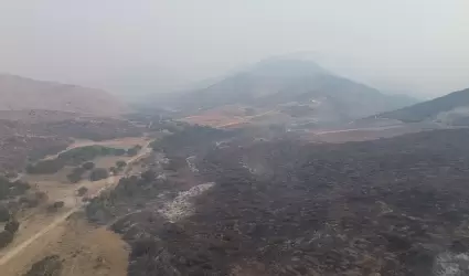 Incendio forestal
