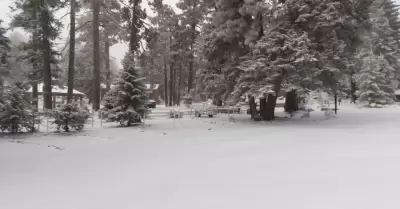 Nevada