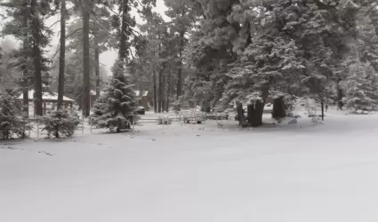 Nevada