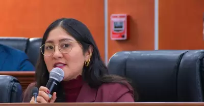 Diputada Michel S�nchez