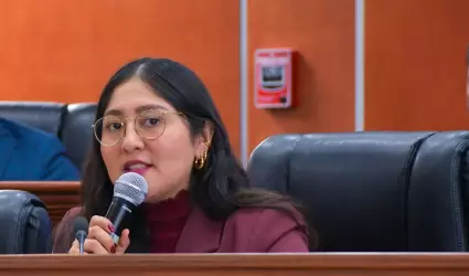 Diputada Michel S�nchez