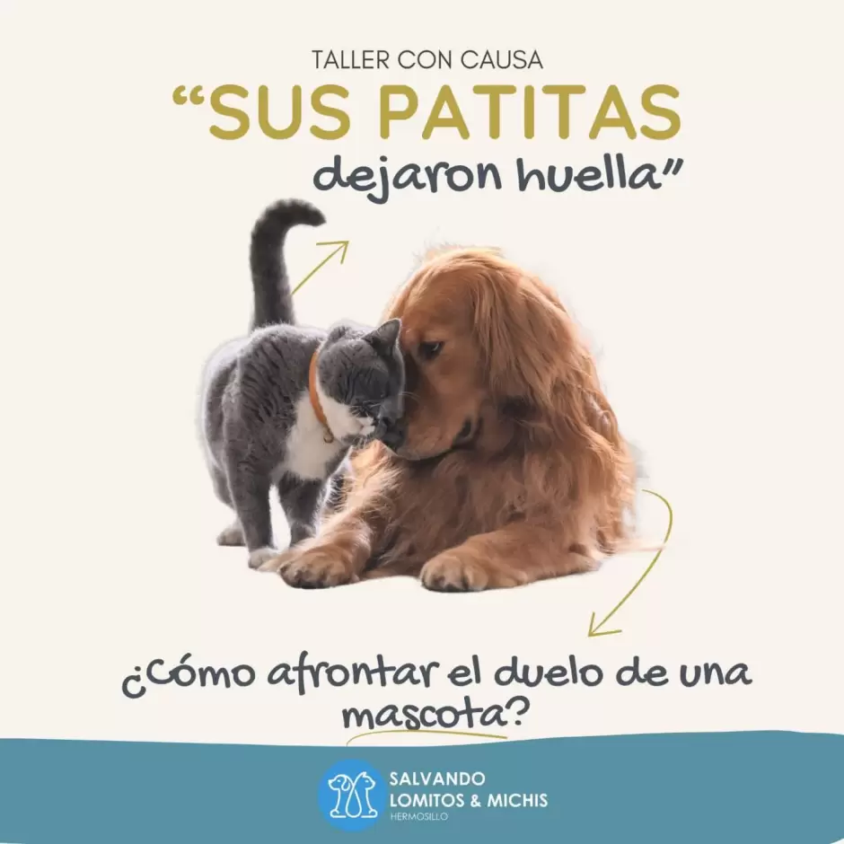 Sus patitas dejaron huella