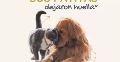 Sus patitas dejaron huella