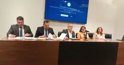 Elecci�n de jueces y magistrados locales