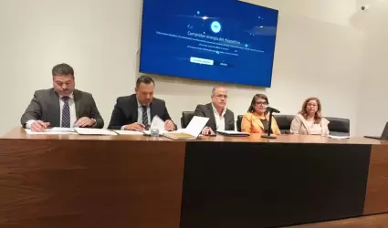 Elecci�n de jueces y magistrados locales