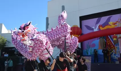 Festival del a�o nuevo chino presenta m�s de 60 actividades gratuitas en el esta