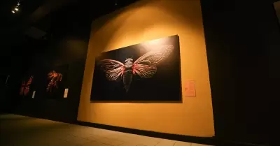 Exposici�n "Insectos: extintos y en peligro"