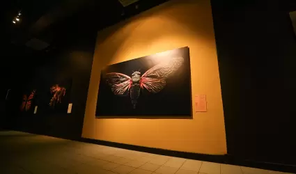 Exposici�n "Insectos: extintos y en peligro"