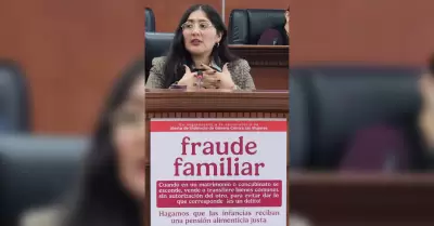 Diputada Michel S�nchez Allende