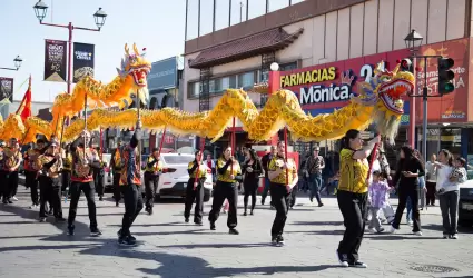 Festival del A�o Nuevo Chino 2025