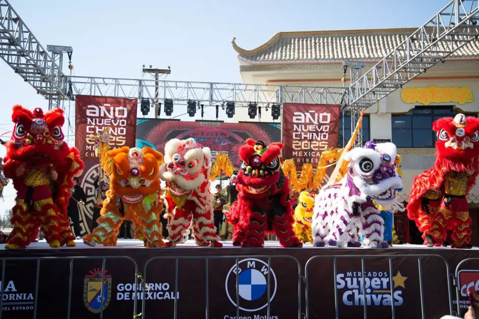 Festival del A�o Nuevo Chino 2025