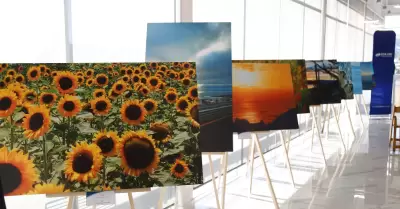 Ganadores del Concurso de Fotograf�a de Naturaleza de BC