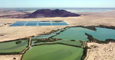 D�a Mundial de los Humedales