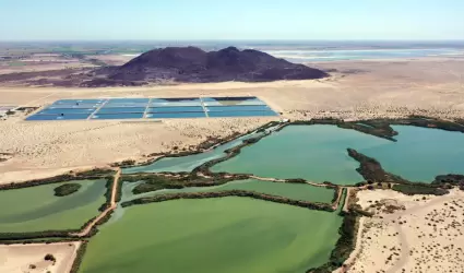D�a Mundial de los Humedales
