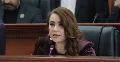 Diputada Alejandra Ang Hern�ndez