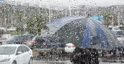 Pron�stico de lluvias
