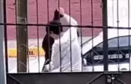 "Yo no voy a pagar una fianza, que aprenda de esto": madre de joven que abandon� a beb�