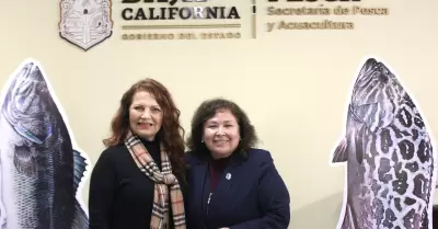 Ofrece titular de SEPESCA BC colaborar con la diputada Roc�o L�pez Gorosave en e