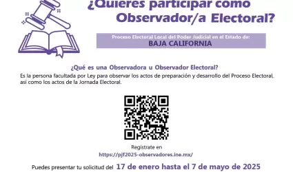 Reitera IEEBC invitaci�n para participar como observador electoral