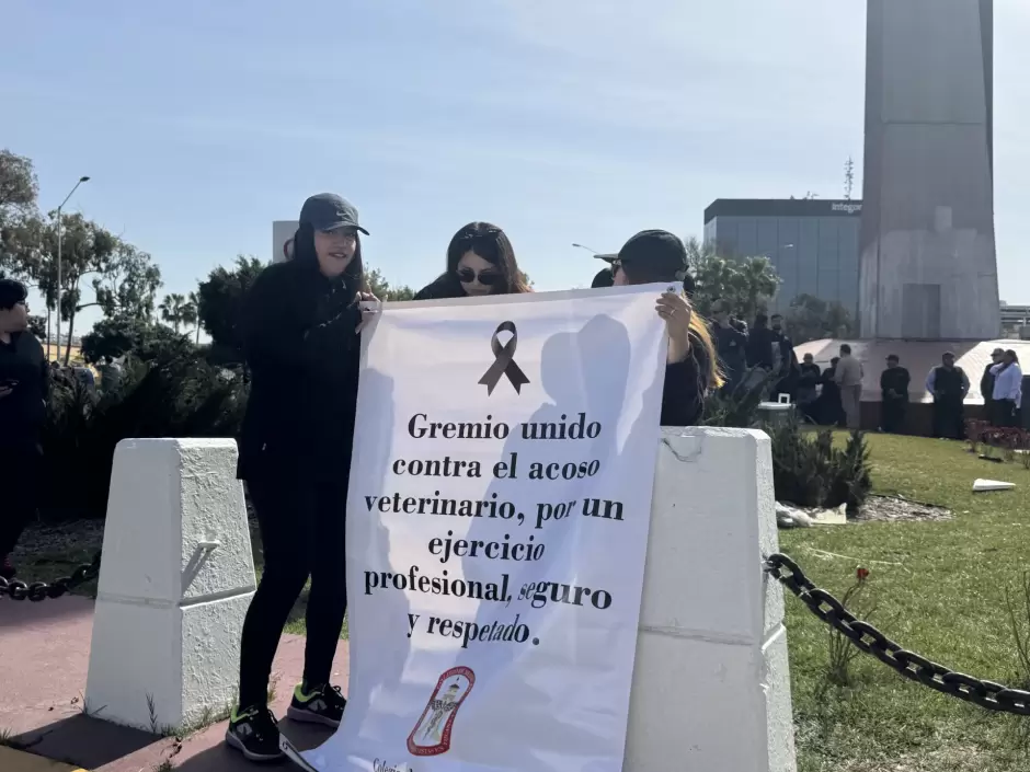 Manifestaci�n de M�dicos Veterinarios