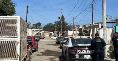 Centro de Atenci�n Canina y Felina