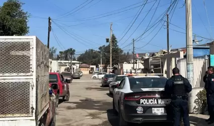 Centro de Atenci�n Canina y Felina