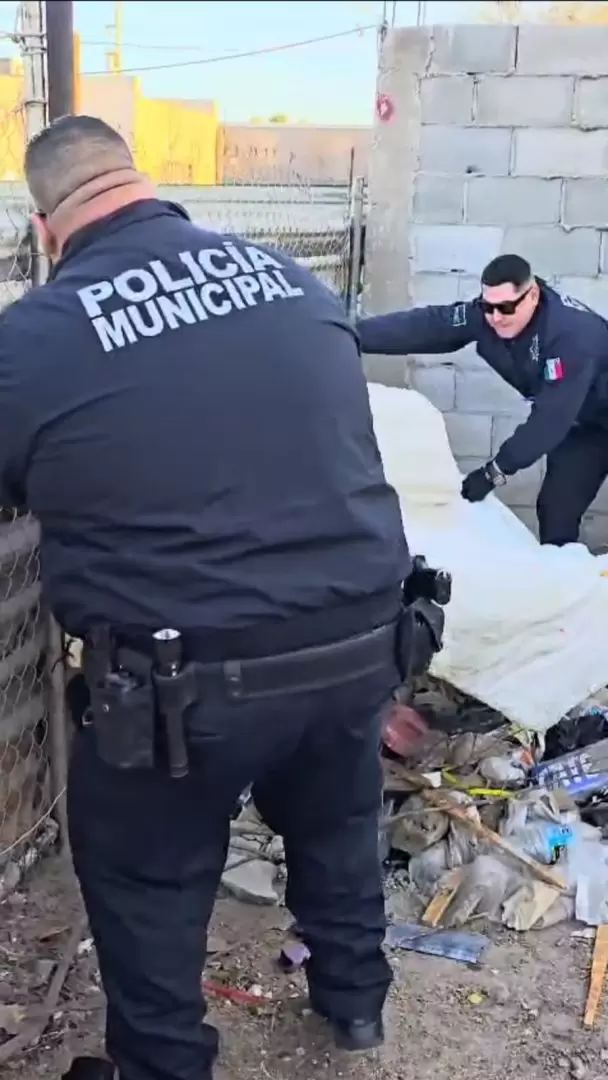 Rescatan halc�n cola roja en Mexicali