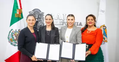 Convenio de colaboraci�n