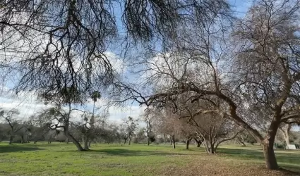 Parque Comunitario de Bonsall