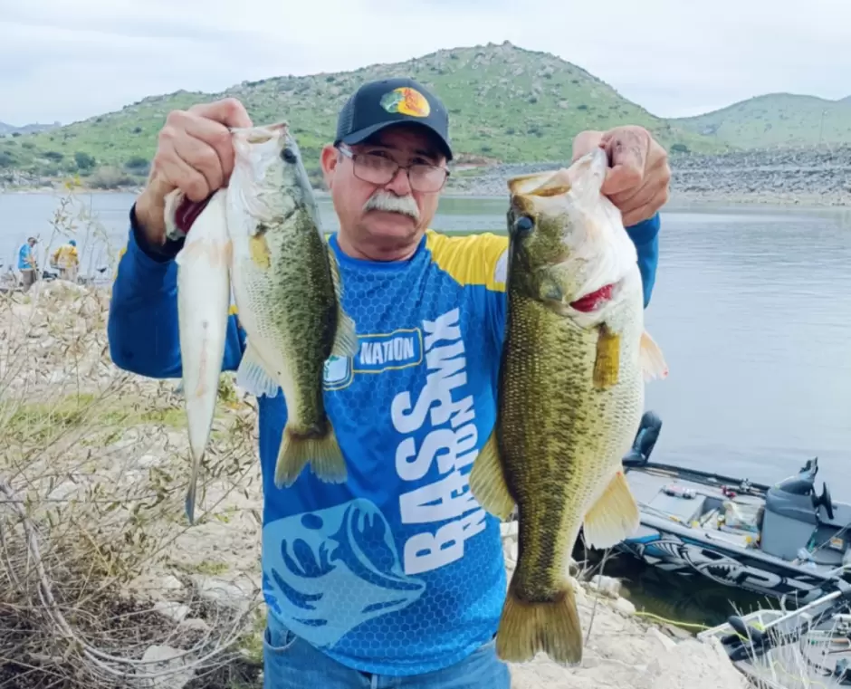 Pesca deportiva