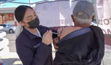 Vacunas de temporada