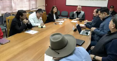 Promoci�n de los Programas del Bienestar 2025 en Baja California