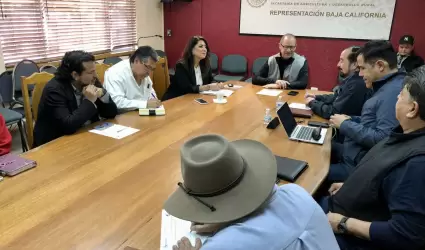 Promoci�n de los Programas del Bienestar 2025 en Baja California