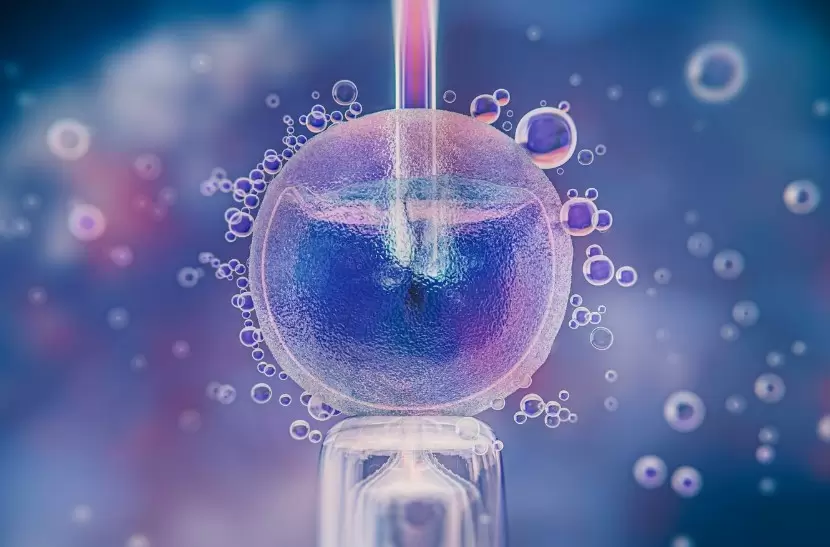 Fertilizaci�n in vitro