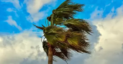 viento, ventoso