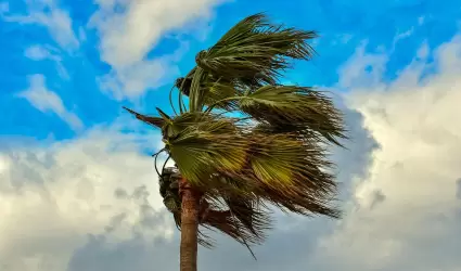 viento, ventoso