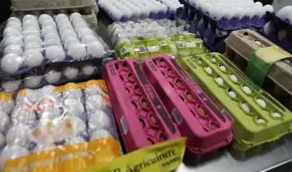 Huevos