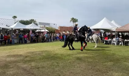 Festival Gastron�mico del Valle de Mexicali