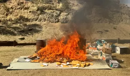 Destruyen narc�ticos asegurados como parte del combate al narcomenudeo