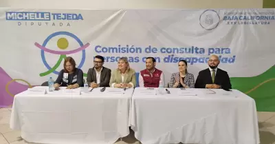 Consulta Estatal sobre derechos pol�ticos-electorales de personas con discapacid