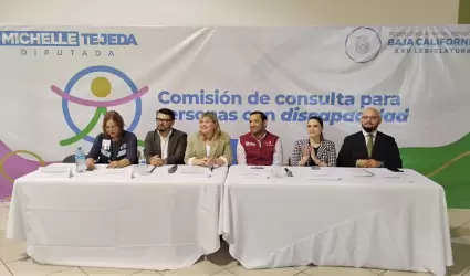 Consulta Estatal sobre derechos pol�ticos-electorales de personas con discapacid