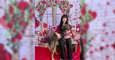 Adopci�n responsable de mascotas