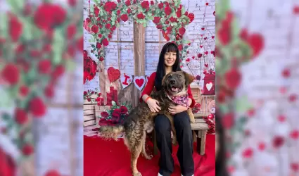Adopci�n responsable de mascotas