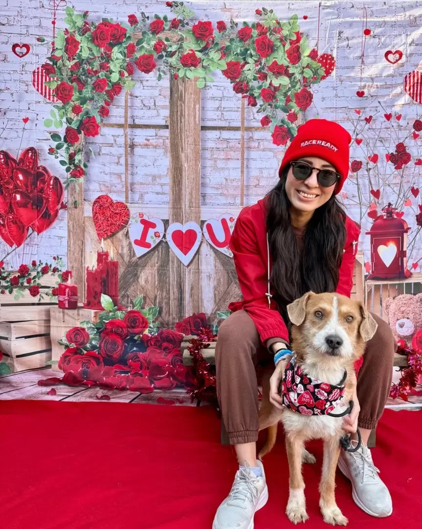 Adopci�n responsable de mascotas