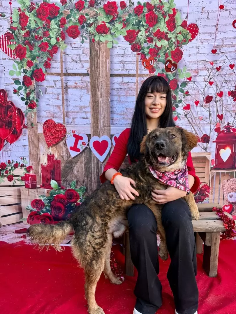 Adopci�n responsable de mascotas
