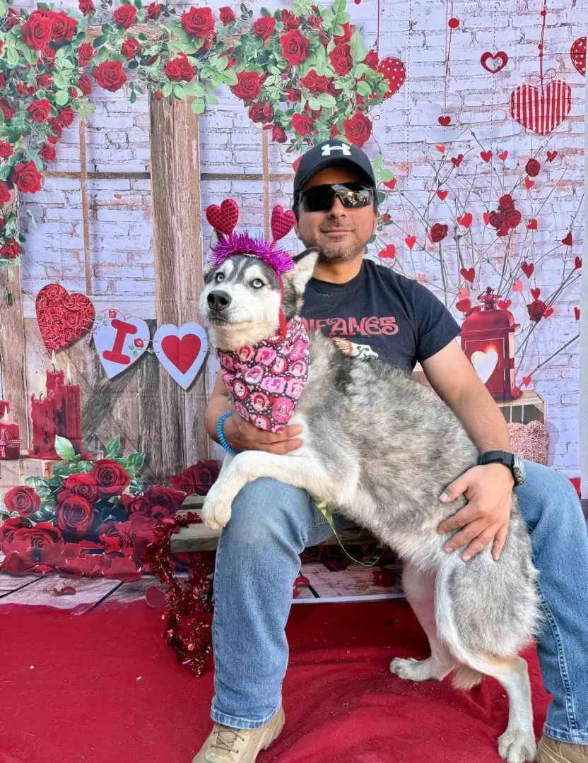 Adopci�n responsable de mascotas