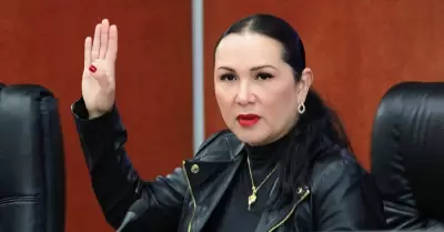 Diputada Araceli Geraldo N��ez